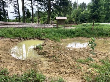 Wasser sammelt sich im Gipfelteich